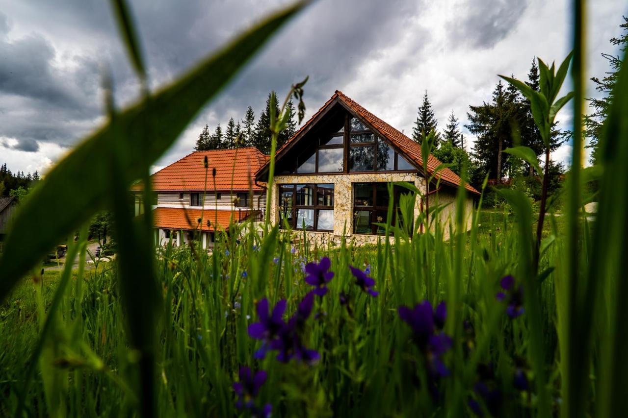 Pensiunea Romconcord Balktelep Kültér fotó