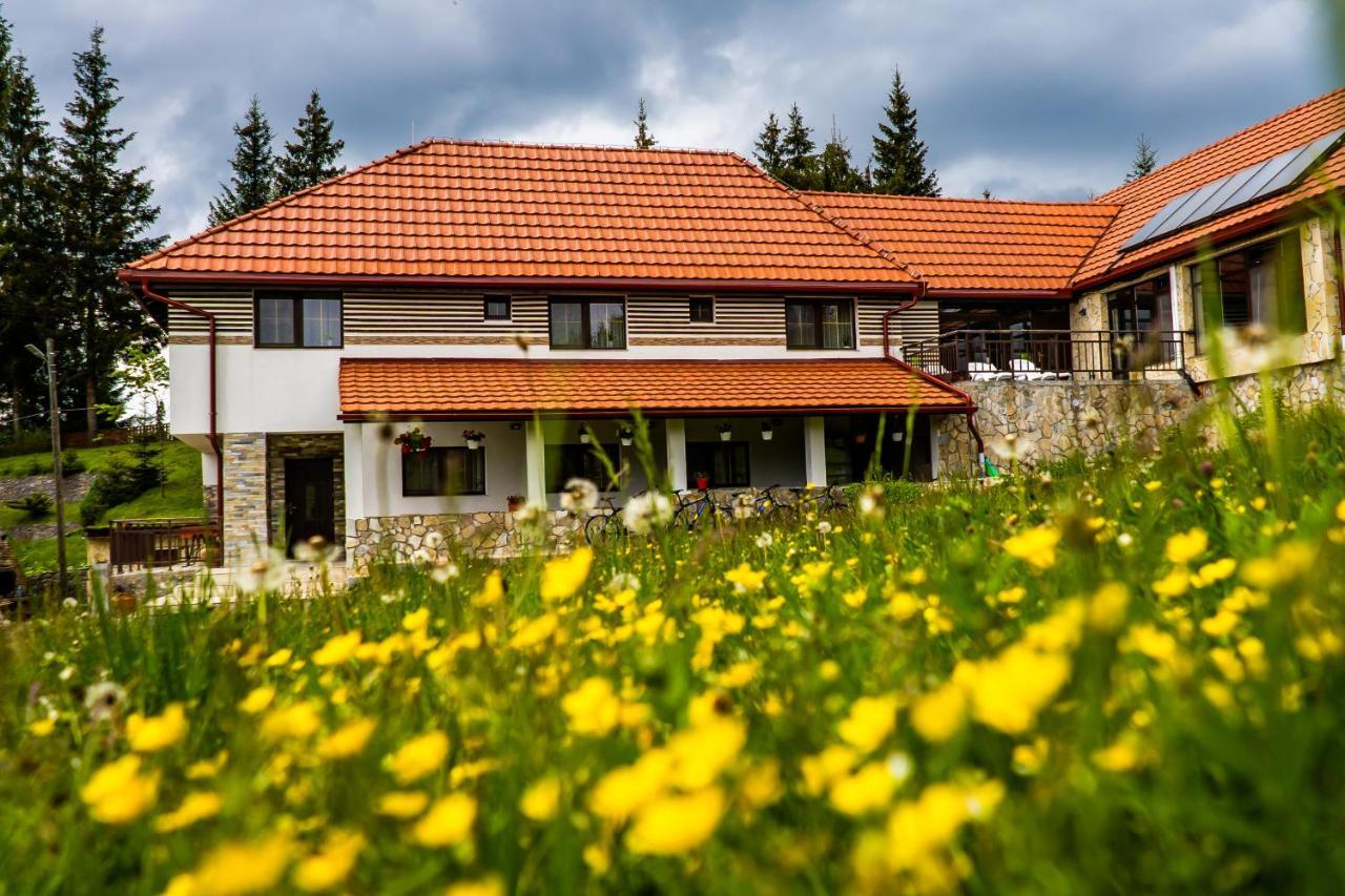 Pensiunea Romconcord Balktelep Kültér fotó